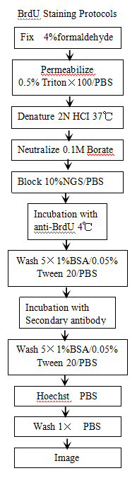 增值2.png 增值2.png
